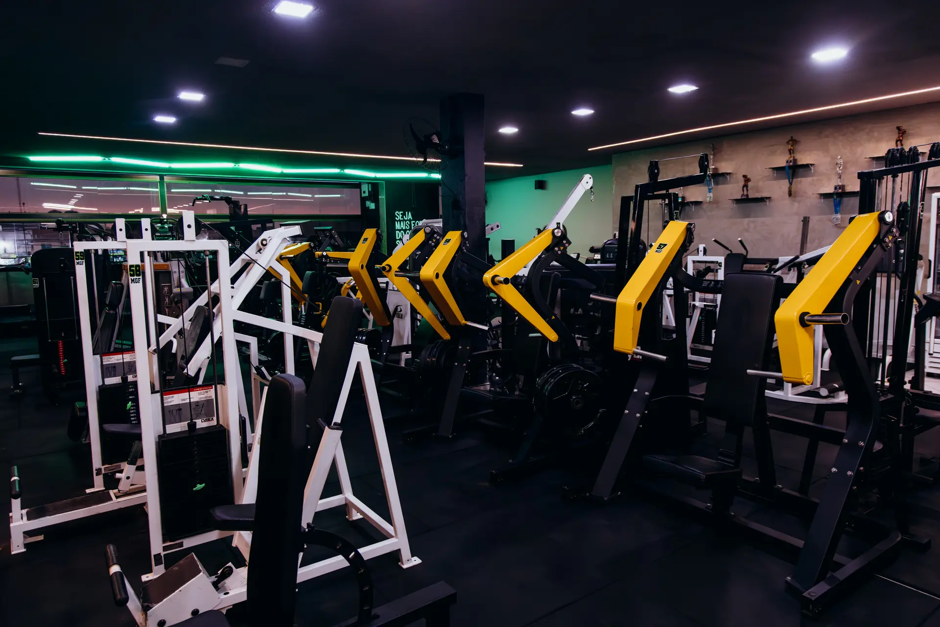 Musculação — MGF Unidade 1 — Princesa Isabel