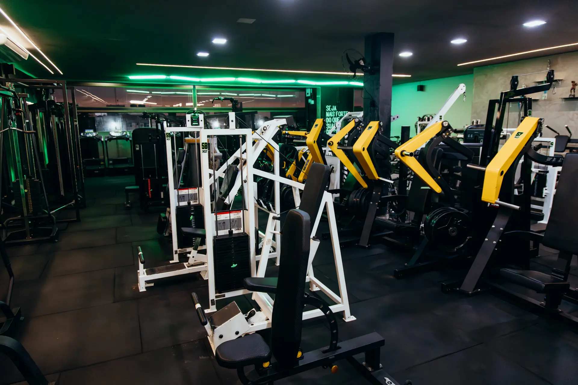 Musculação — MGF Unidade 1 — Princesa Isabel